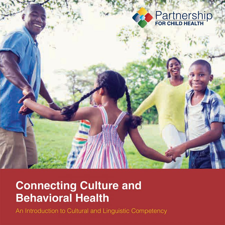 Jacksonville System of Care Initiative